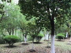 -江南大学(蠡湖校区)