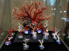 -绮丽珊瑚博物馆(台东店)