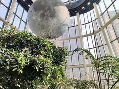 -芸山季·云南山珍菌火锅(南翔印象城MEGA店)