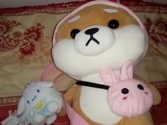 -PAWTOY爪e玩偶店(天兴罗斯福店)