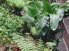 -乐山大佛风景名胜区乌尤寺南门-售票点