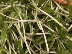-品大三·南京菜(大行宫店)