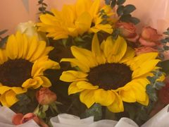 -鼎族怡华·指压·经络·疗愈SPA(紫荆店)