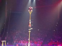 -珠海横琴长隆《卡卡虎奇遇记》