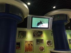 -上海昆虫博物馆