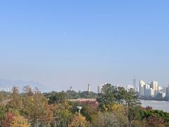 -江心屿景区