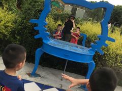 -百万葵园