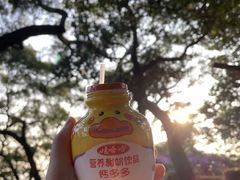 -广州市白云山风景名胜区