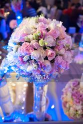 点击看大图 -花屿迷鹿写真馆