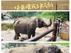 -北京野生动物园