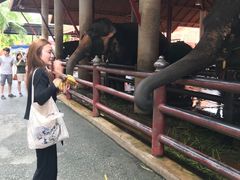 -东芭乐园