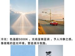 -CGWANG王氏教育(上海校区)