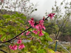 -小南山公园