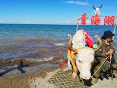 -青海湖国家重点风景名胜区