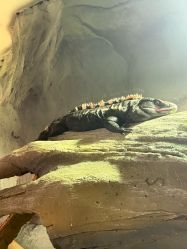 -Zoolung Zoolung动物主题公园(海信广场店)