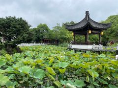 -丝绸小镇荻港古村