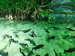 -福州罗源湾海洋世界旅游区