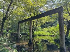 -磐安十八涡风景区