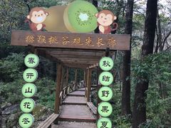 -大岭沟猕猴桃谷风景区
