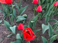 -长春公园(普阳街道)