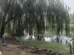 -白塘生态植物园