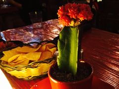 -Pistolera Mexican Cantina女枪手墨西哥餐厅(碧云路店)