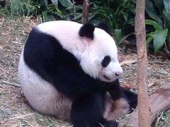 river&nbsp;safari-河川生态园