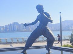 -星光大道