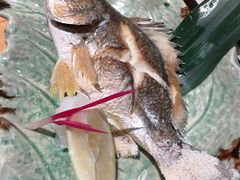 -泉寿司(万科公园店)