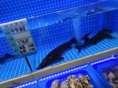 -悦海·家宴·冰花皮皮虾大锅贴(宝龙店)