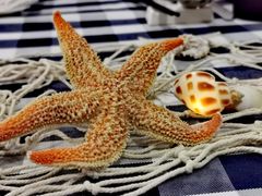 -册子岛月亮湾景区