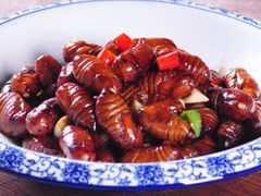 秋葵烧蚕蛹-冷大厨灌汤包