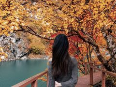 -叠溪松坪沟景区