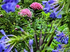 -凤来栖·净庭院·火锅(欧尚店)