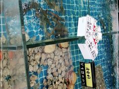 -佤家大院(南门店)