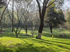 -天目湖御水温泉·度假酒店