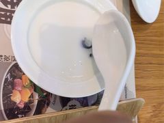 -美食小镇·观赏珍稀鸟类·长隆熊猫酒店