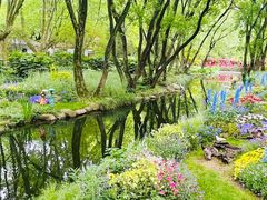 -上海共青森林公园