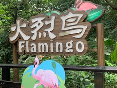 -广州长隆野生动物世界