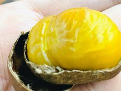 -阿男野栗王(金门路店)