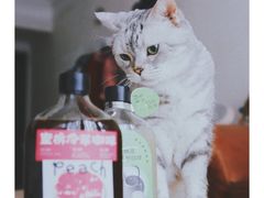 -奈雪的茶(漫广场店)