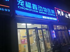 -宠福鑫康馨动物医院·骨科·眼科