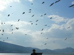 -滇池海埂公园