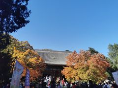 -香山公园