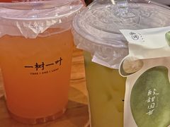 -一树一叶·福建茶档(石鼓路店)