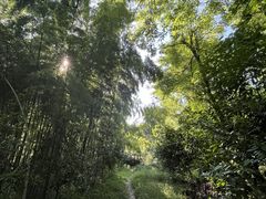 -老山国家森林公园