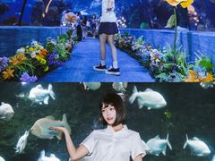 -南昌海洋公园