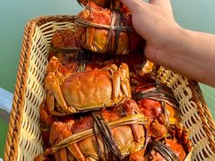 -七的湖·江南蟹舫·阳澄湖农家菜(蟹舫苑店)