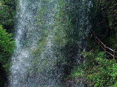 -龙苍沟森林公园