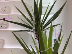 -慕可创意美学·定制CAKE·微景观蛋糕(总店)